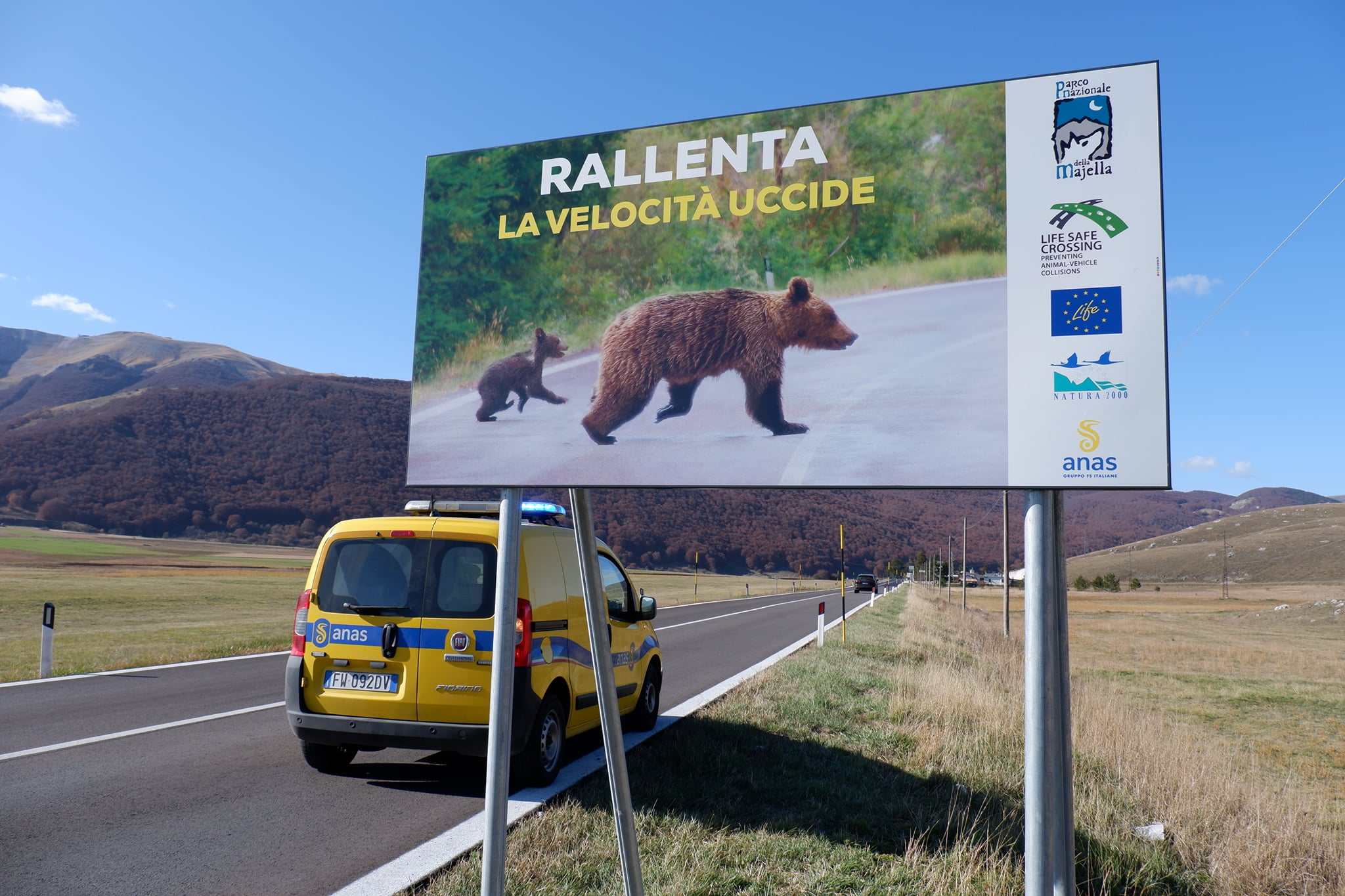 Orso_Anas_orizz.jpg Orso_Anas_orizz.jpg