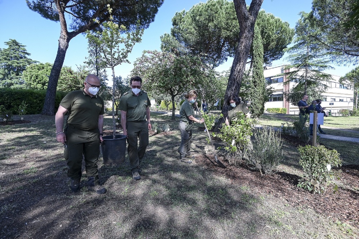 piantumazione alberi_imagoeconomica2021.jpg piantumazione alberi_imagoeconomica2021.jpg