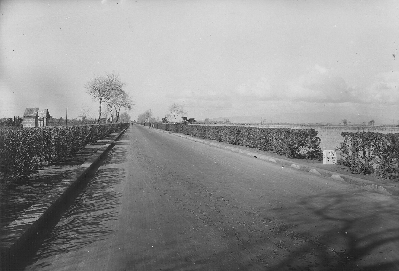 CA.131.014 – SS131 tratto stradale con siepi nei pressi di Oristano al km 93+000 – anni ’40-‘50 (foto Anas) CA.131.014 – SS131 tratto stradale con siepi nei pressi di Oristano al km 93+000 – anni ’40-‘50 (foto Anas)