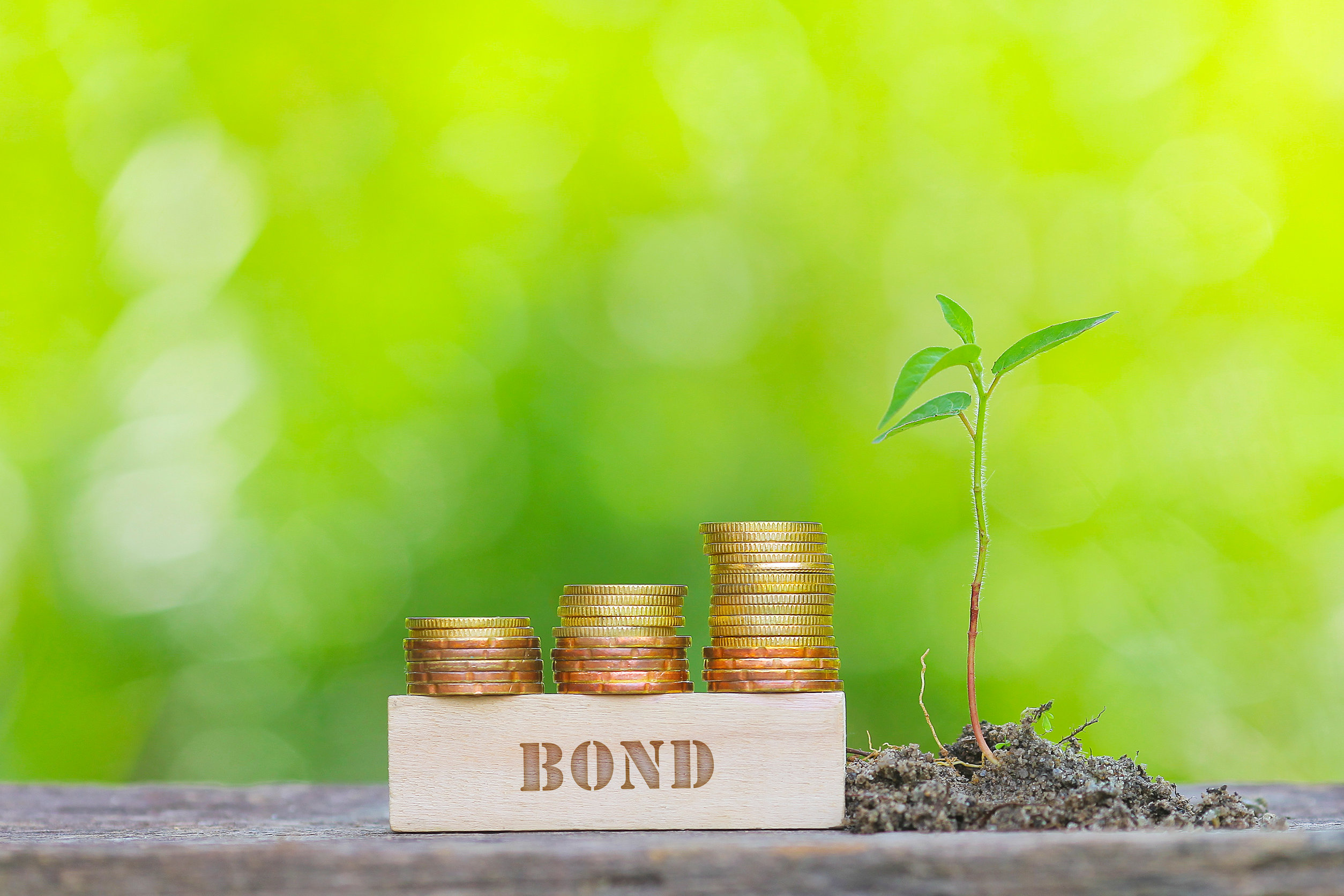 green bond green bond