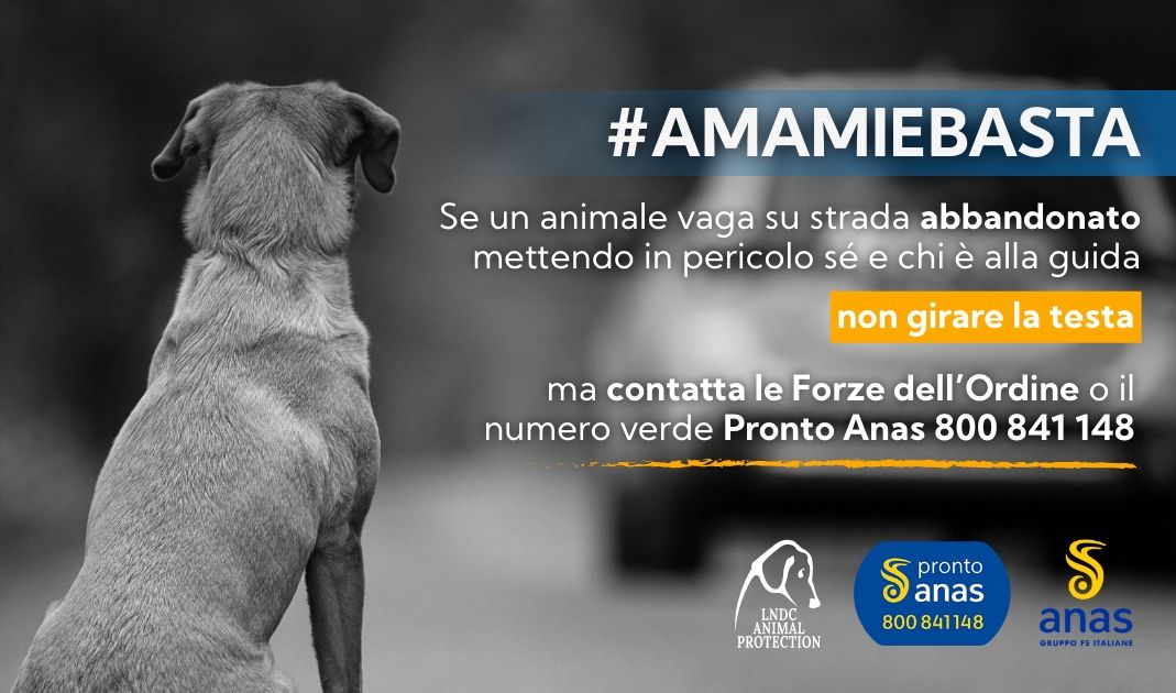 Amami_e_Basta-Campagna Amami_e_Basta-Campagna