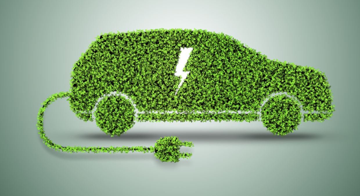 autoelettrica web