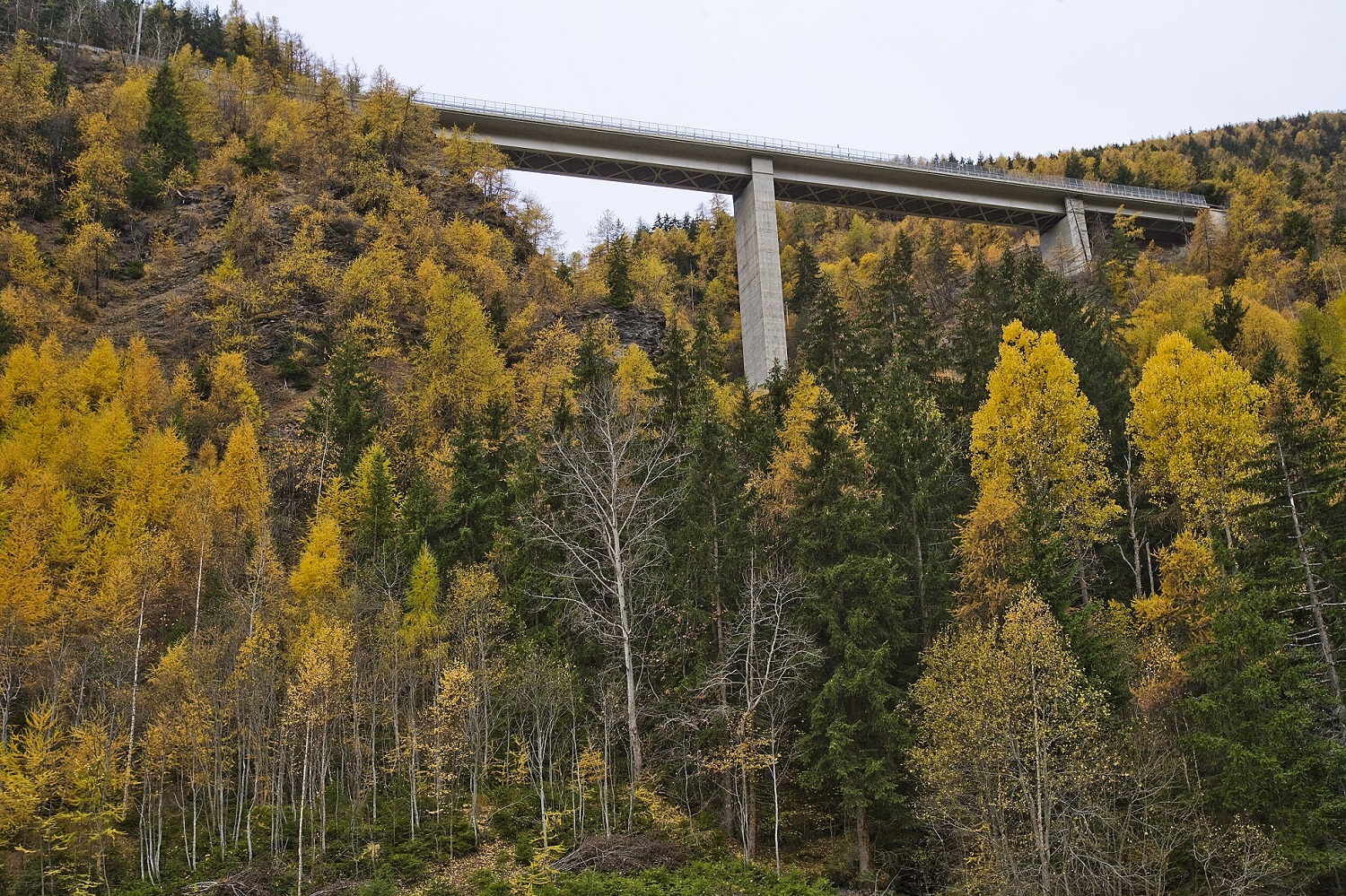 Valle d'Aosta, strada statale 27 'del Gran San Bernardo', viadotto La Clusaz.jpg Valle d'Aosta, strada statale 27 'del Gran San Bernardo', viadotto La Clusaz.jpg