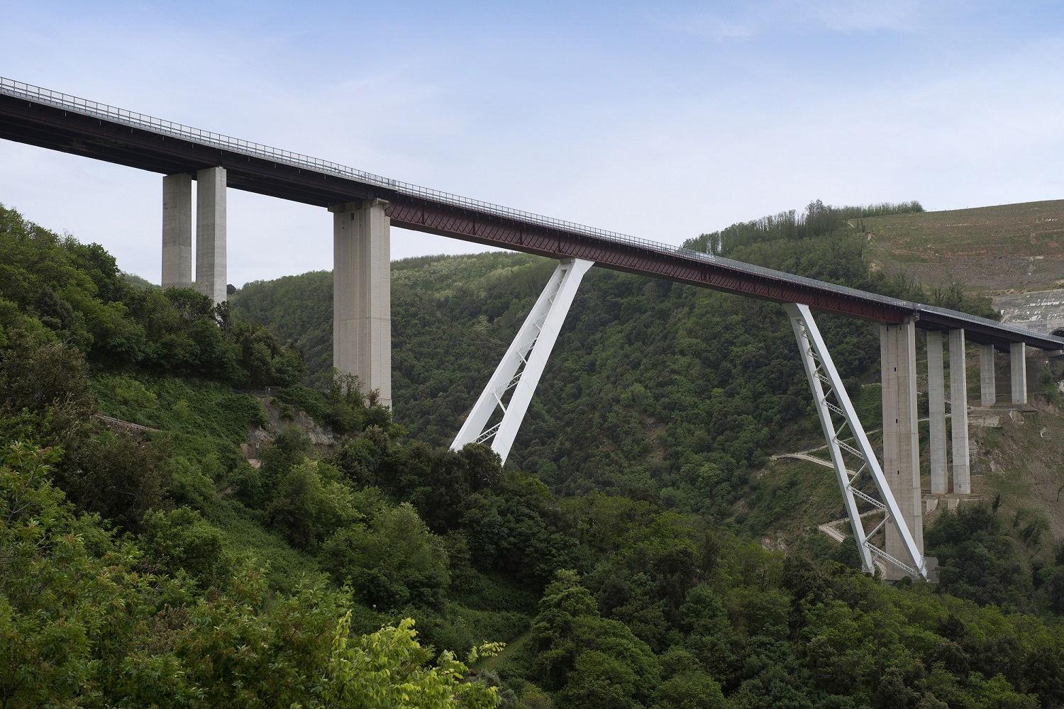 A2 'Autostrada del Mediterraneo - viadotto Sfalassà (foto Anas) A2 'Autostrada del Mediterraneo - viadotto Sfalassà (foto Anas)