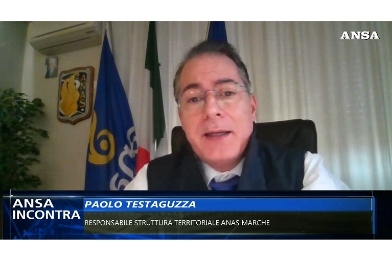 Paolo Testaguzza, Anas