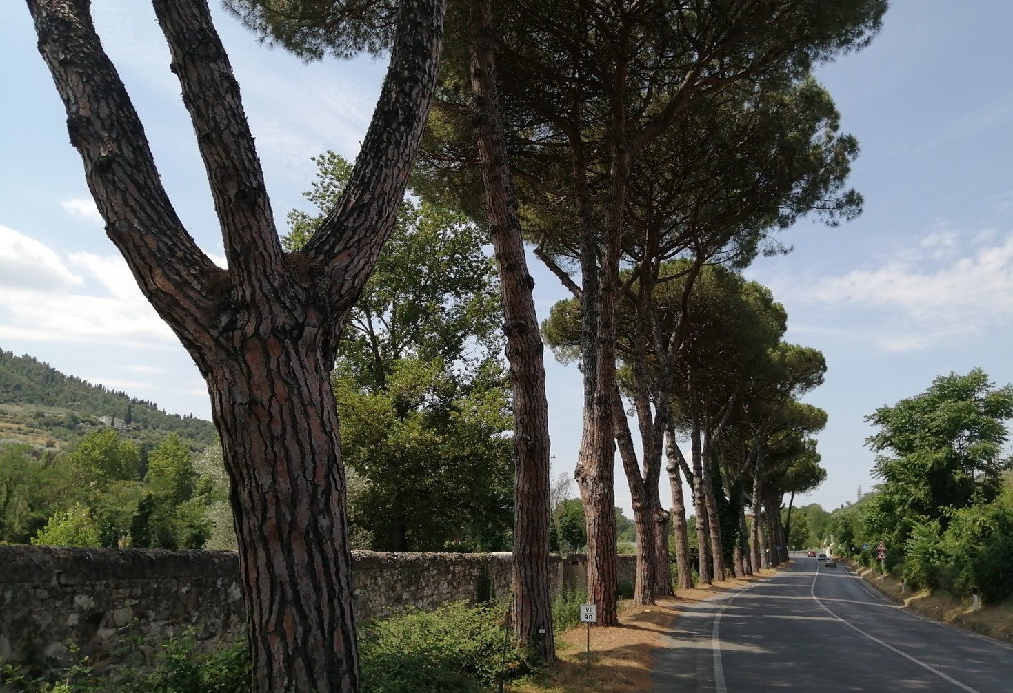 Strade, manutenzione