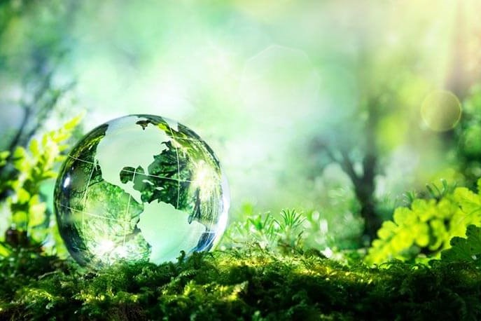 green economy WEB green economy WEB
