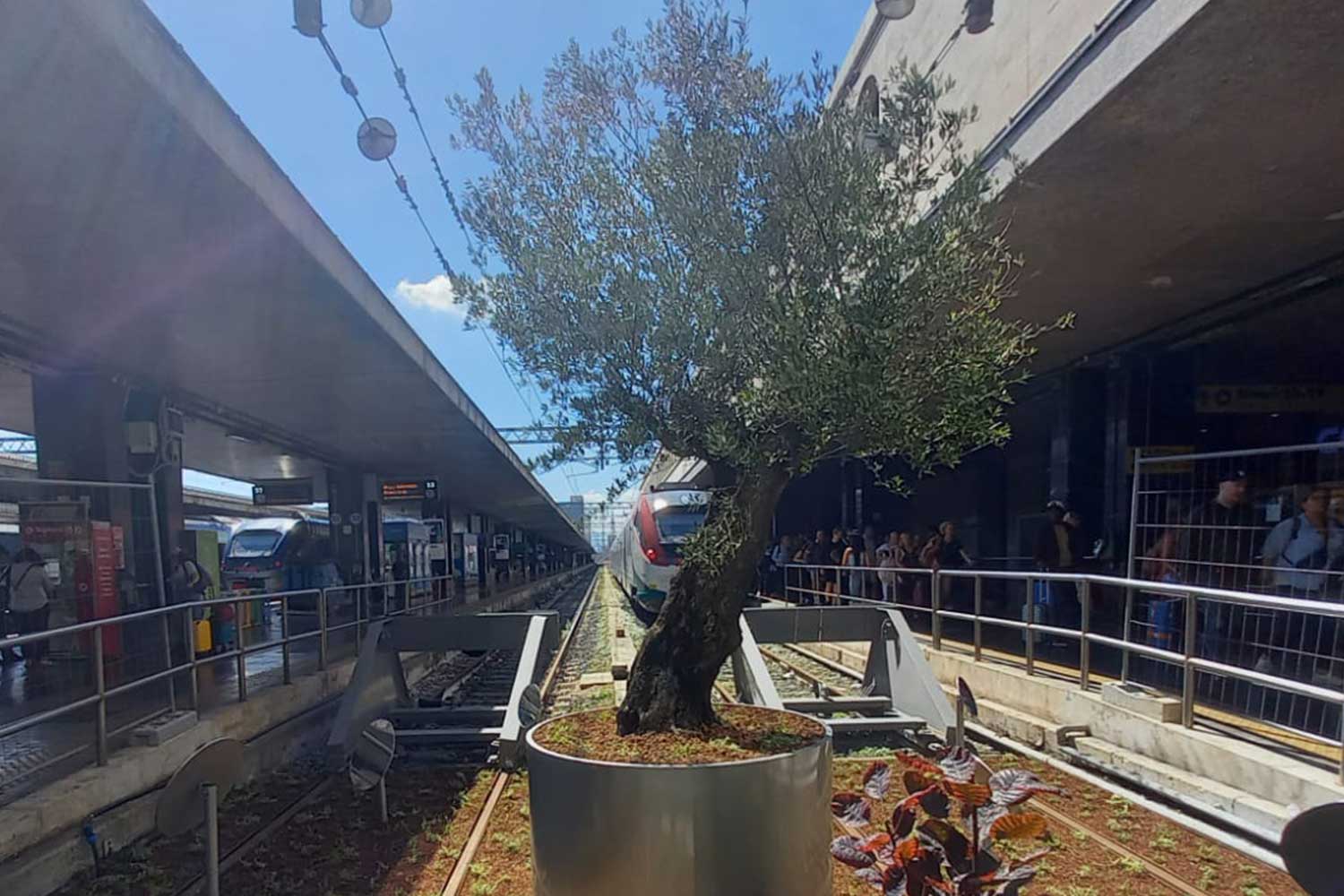 Roma Termini Green. Foto Fs News.jpg