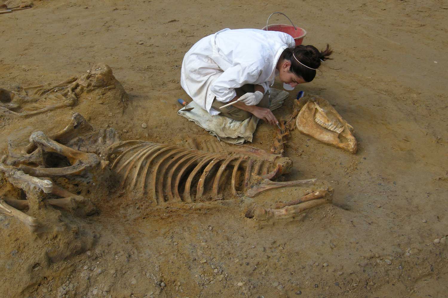 archeolog_2025_foto fs news.jpg