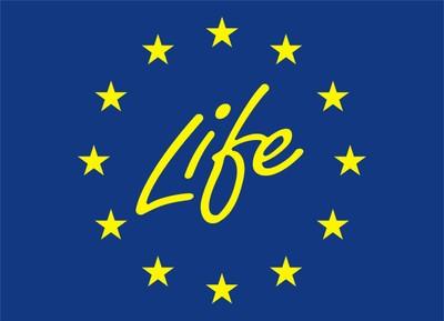 Logo Life Logo Life