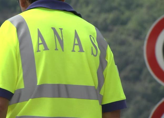 Anas cantoniere Anas cantoniere