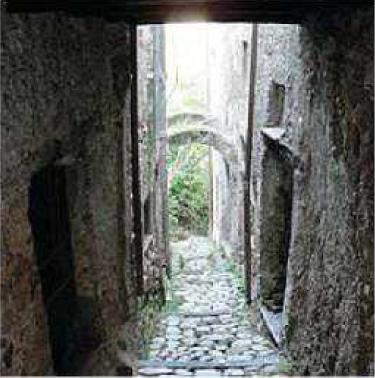 Auletta