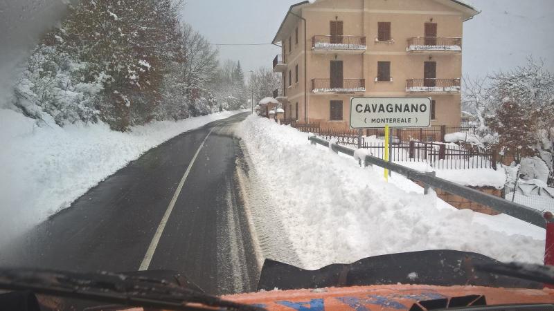 neve neve