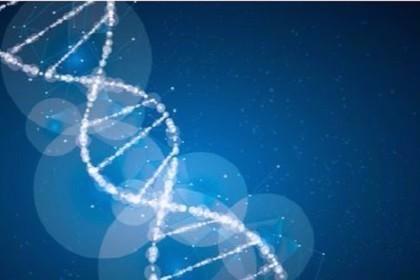 DNA