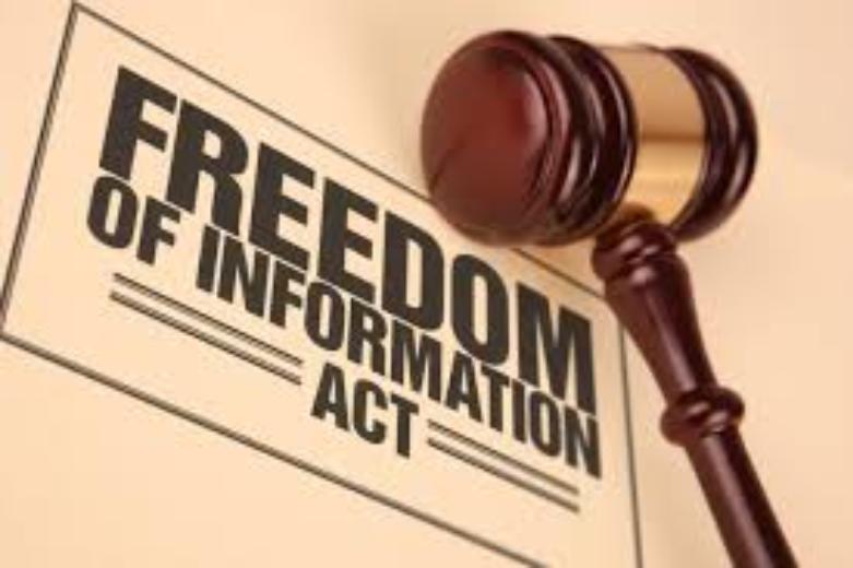 Foia Foia