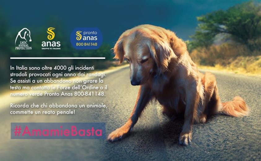 AmamieBasta 2019 AmamieBasta 2019