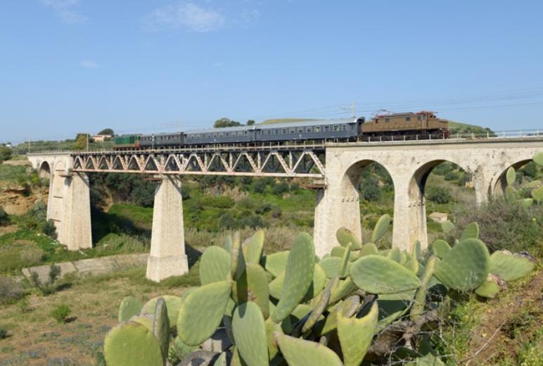 Treno su ponte