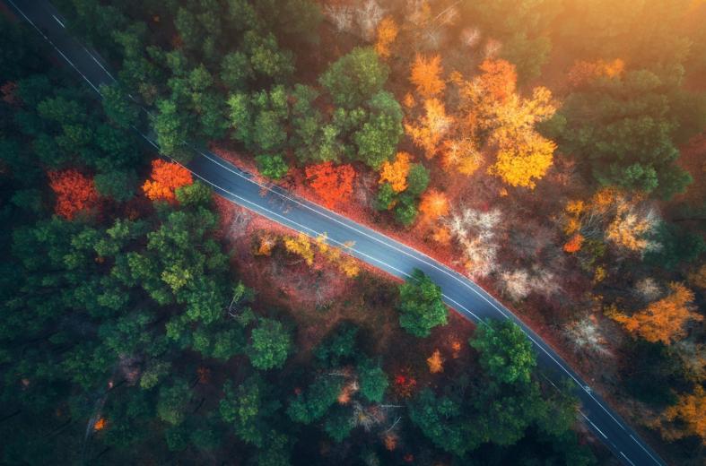 Strada nel verde (©IngImage) Strada nel verde (©IngImage)