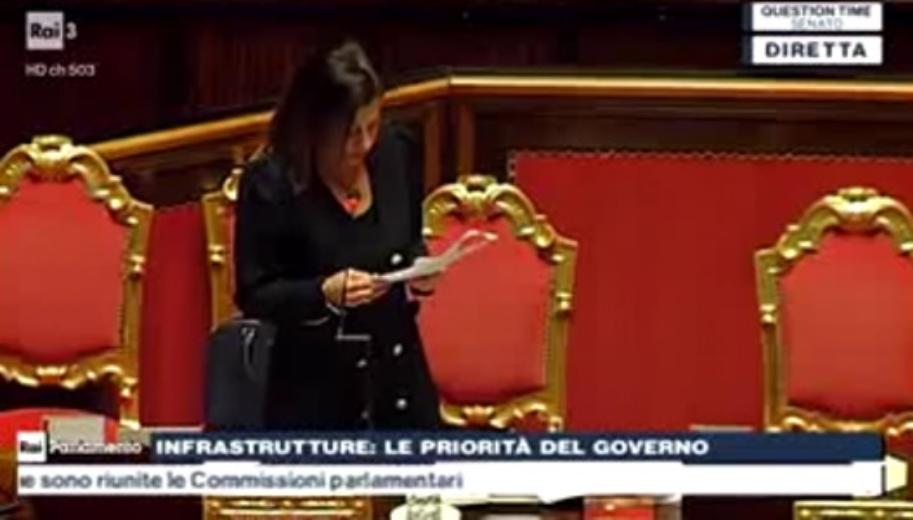 Paola De Micheli Paola De Micheli