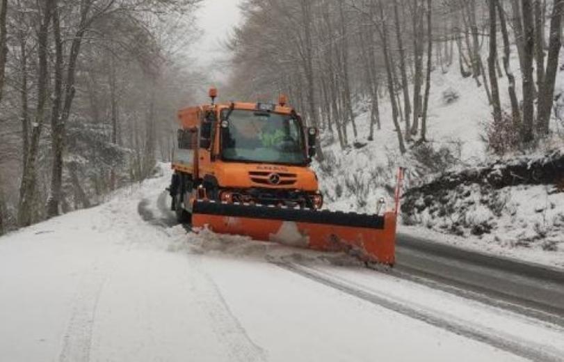 Anas mezzo neve