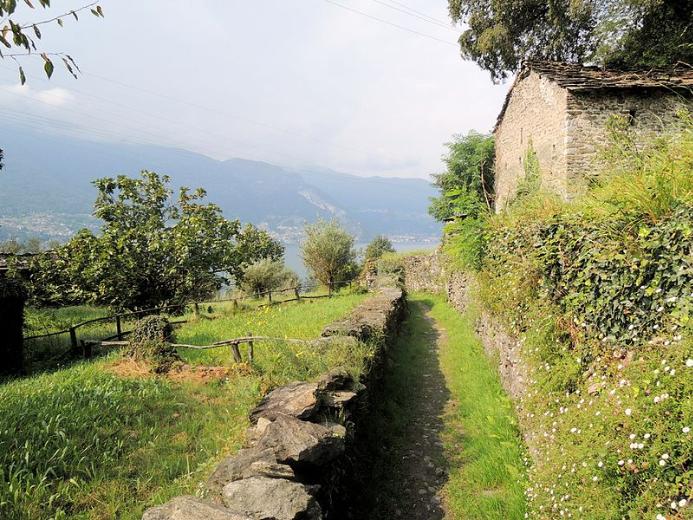 Sentiero_del_Viandante (fonte immagine Wikipedia)
