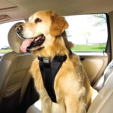 Cinture di sicurezza per cani Cinture di sicurezza per cani