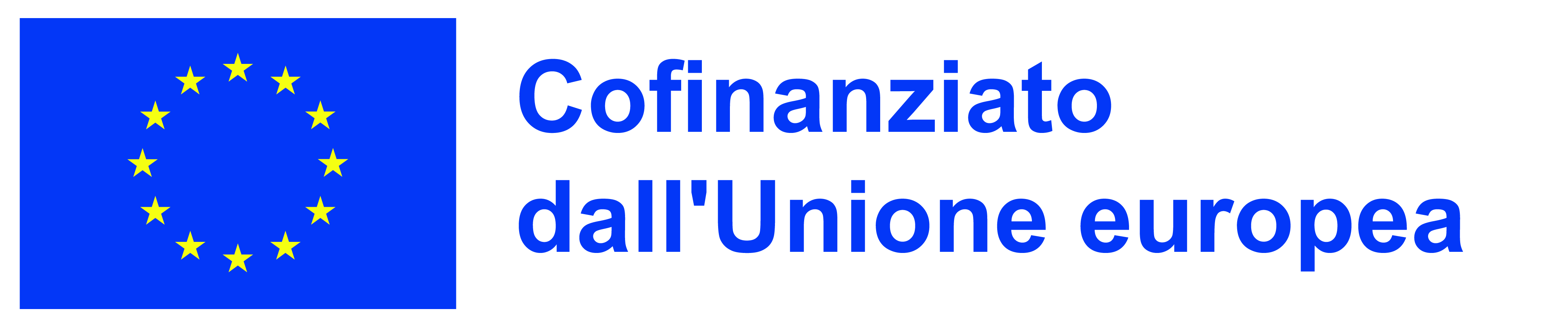 IT Cofinanziato dall'Unione europea_POS