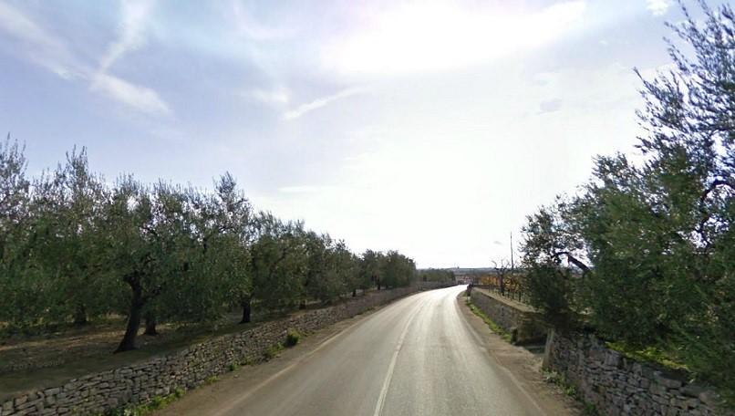 Patrimonio