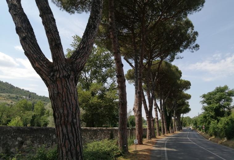 Strade, manutenzione