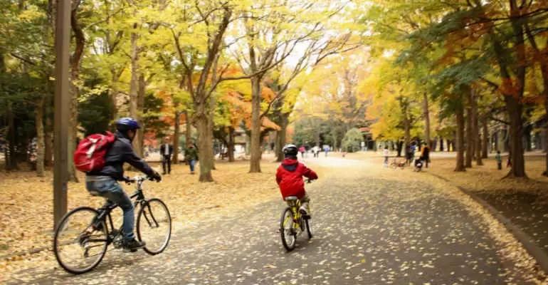 Trento, Mantova, Pordenone le città più green di Italia