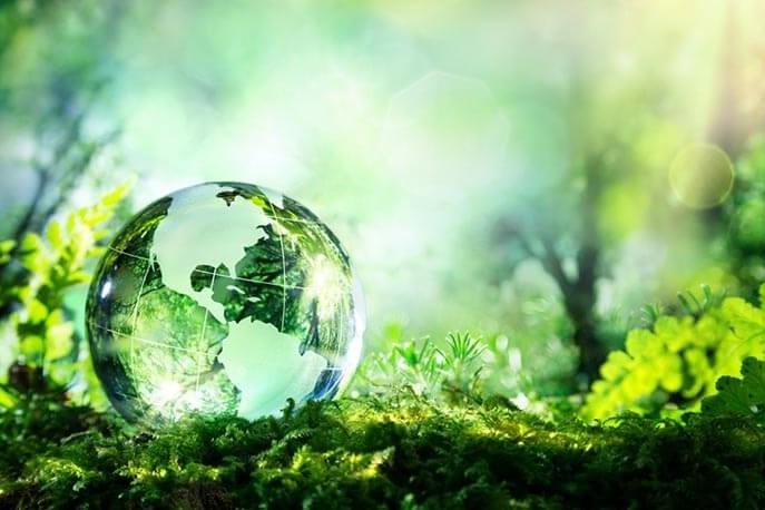 green economy WEB