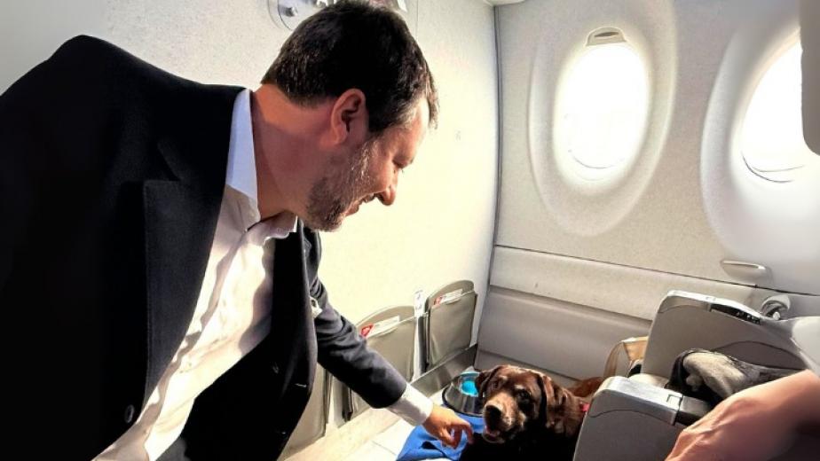Trasporto aereo, un volo storico: via libera ai cani di grossa taglia in cabina