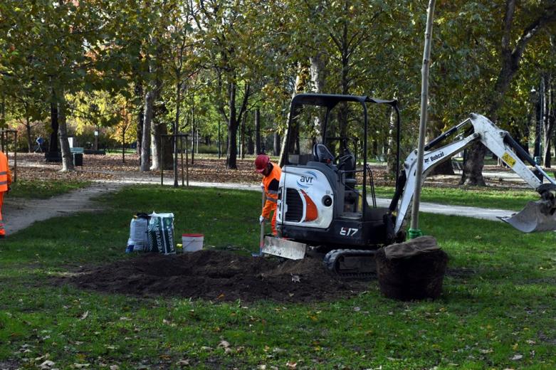 L'aumento del 5% di alberi in città eviterebbe 5mila morti premature