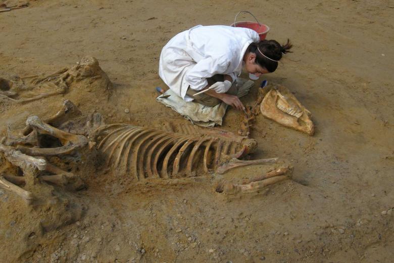 archeolog_2025_foto fs news.jpg