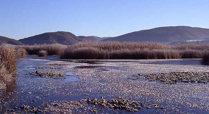 zona umida Colfiorito (PG)