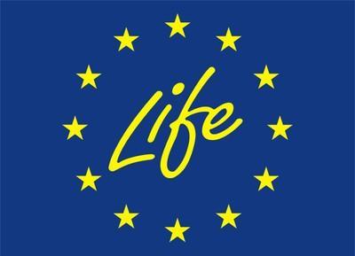 Logo Life