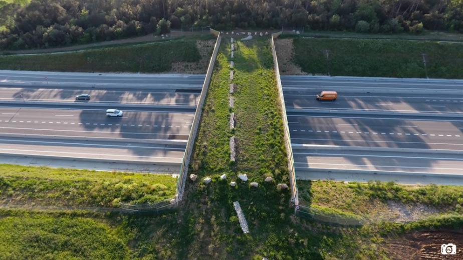 Quando la natura incontra la strada