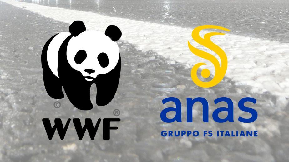 Molise: Wwf e Anas mettono in sicurezza strada per tutela orso marsicano